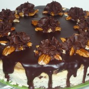 Turtle Cheesecake